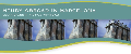 Study Abroad in Barcelona
